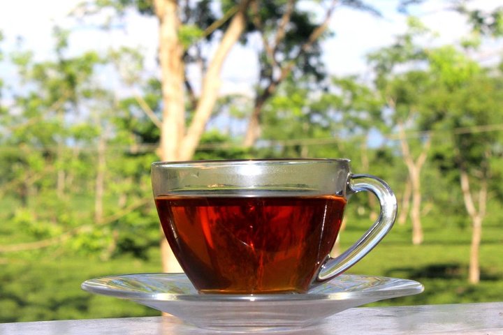 Dibrugarh tea tour and Singpho village visit with lunch, Dibrugarh