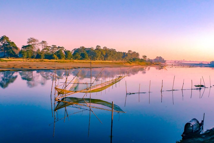 Private tour of Assam tea estates, rainforest, and Majuli island, Dibrugarh
