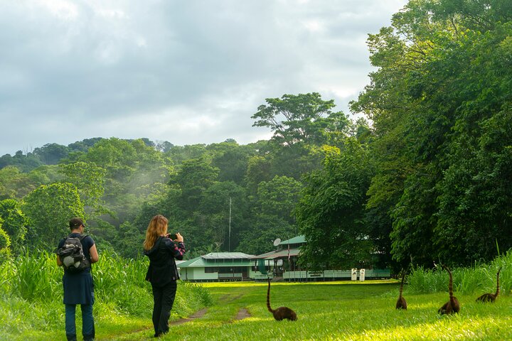 Corcovado and Drake Bay 2-Day Small-Group Safari Guided Tour, Drake Bay