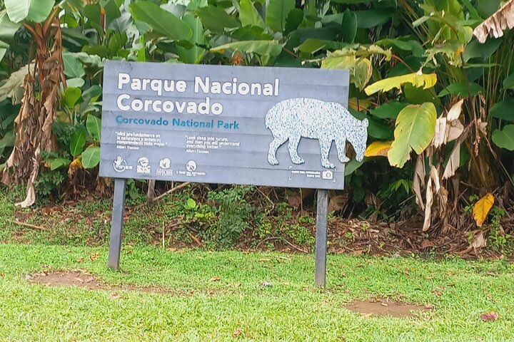 Corcovado National Park Tour with Lunch — Nature & wildlife things to do in Drake Bay