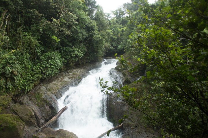 DrakeBay over night tour -RioAgujitasEcoJungle, Drake Bay