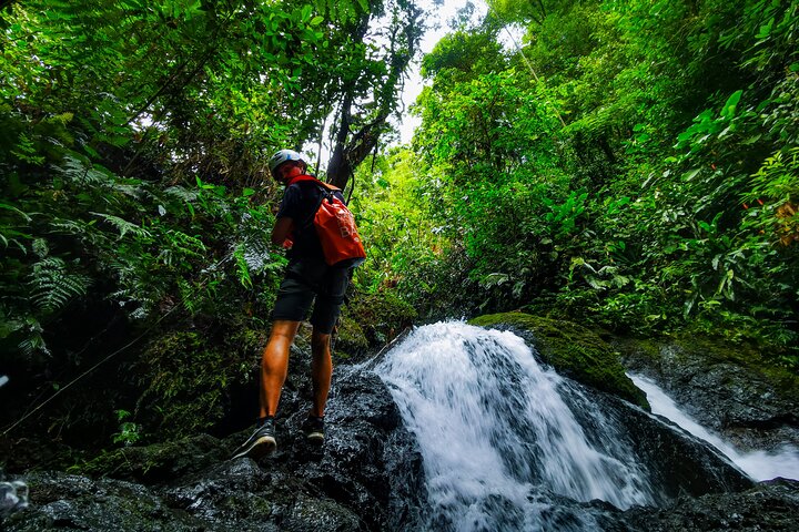 Jungle Hike with Canyoning and Rappelling in Drake Bay, Drake Bay