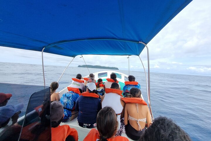 Snorkel tour Canyon island Drake Bay with Lunch, Drake Bay