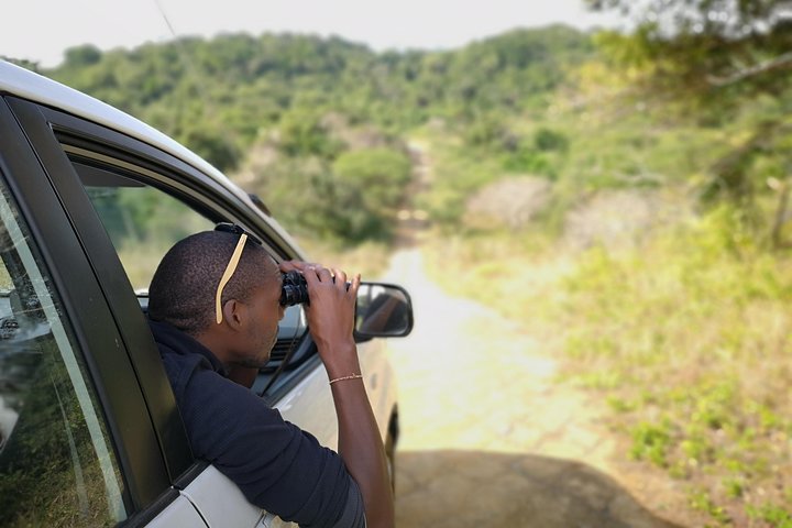 Addo Elephant Park multi-day Photo Safari — Cultural & heritage things to do in East London