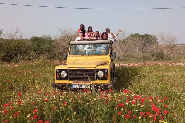 Algarve Mountains & Villages - Half Day Jeep Safari Trip — Day trips things to do in Faro