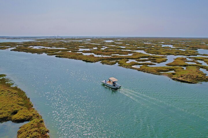 Eco Boat Tour in the Ria Formosa Lagoon from Faro — Kids-friendly things to do in Faro