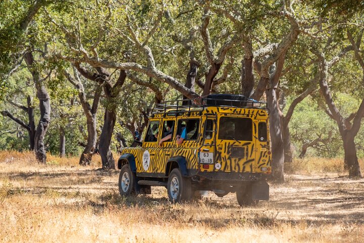 Jeep Safari Tour - Half Day, Faro