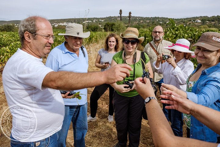 Tour & Wine tasting - Authentic Algarve Flavours by Quinta da Tôr, Faro