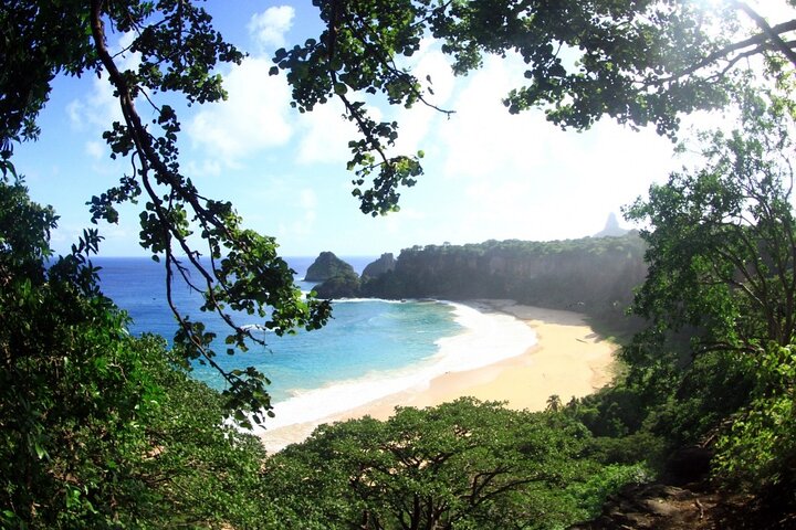 Shared Shuttle between Fernando de Noronha Airport and Hotels — things to do in Fernando de Noronha