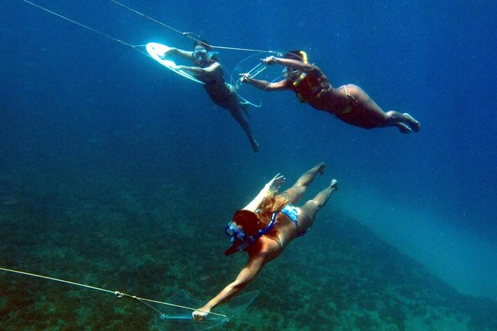 Fernando de Noronha — top 8 adventure