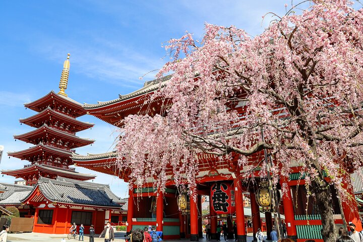 1-Day Tokyo Bus Tour — Cultural & heritage things to do in Ginza