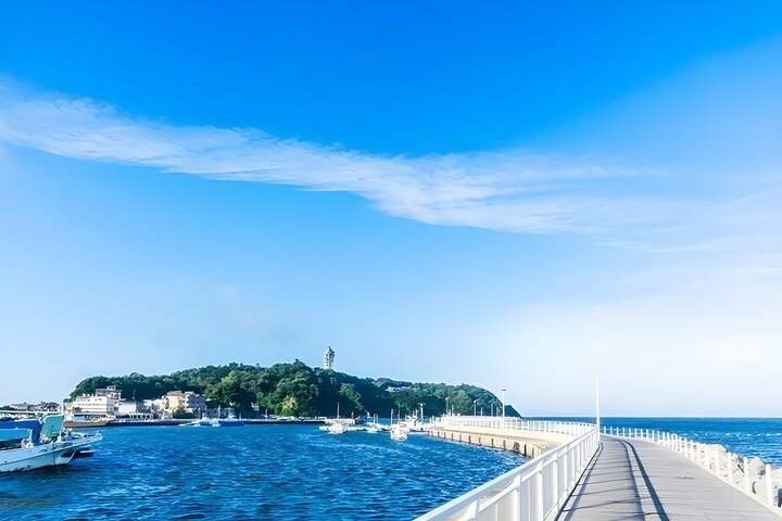 Kamakura, Enoshima & Yokohama: Private Day Trip from Tokyo — Luxury & private things to do in Ginza