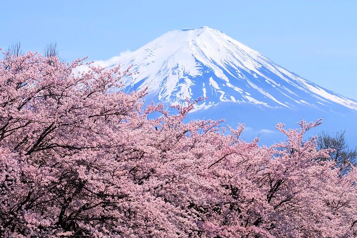 Mt Fuji and Hakone 1-Day Bus Tour Return by Bus, Ginza
