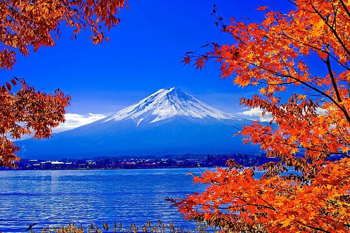 Mt Fuji Full Day Private Tour from Tokyo with English Driver, Ginza