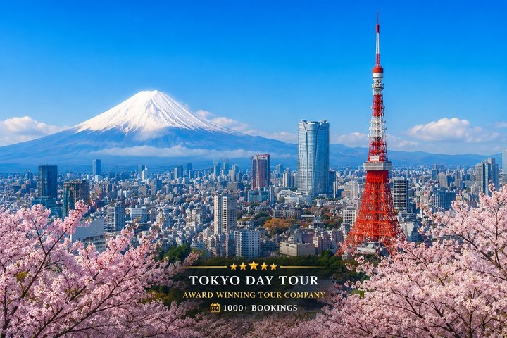 Private Tokyo Tour by Car with Custom Itinerary & English Guide, Ginza
