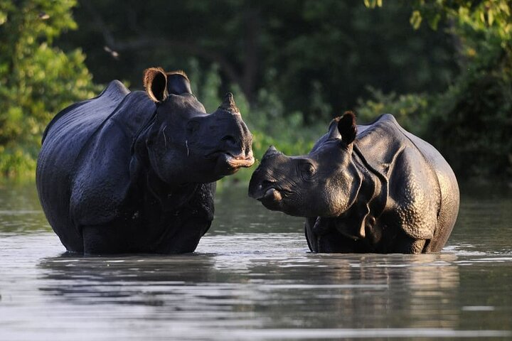 Five-day tour of Guwahati, Kaziranga and Majuli Island, Guwahati