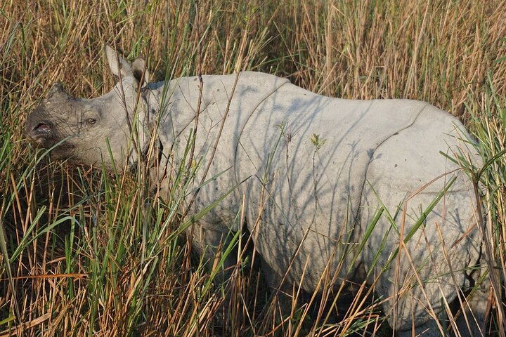 Meghalaya and Kaziranga National Park from Guwahati, Guwahati