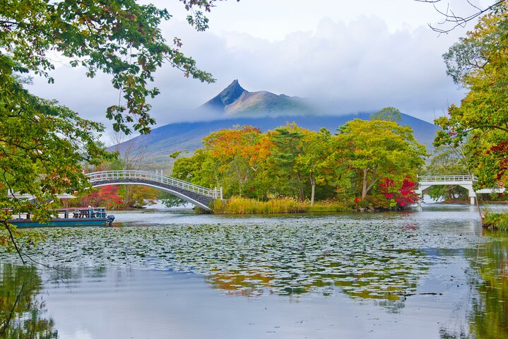 Full-Day Private Shore Tour Hakodate Highlights by Van — Food & drink things to do in Hakodate