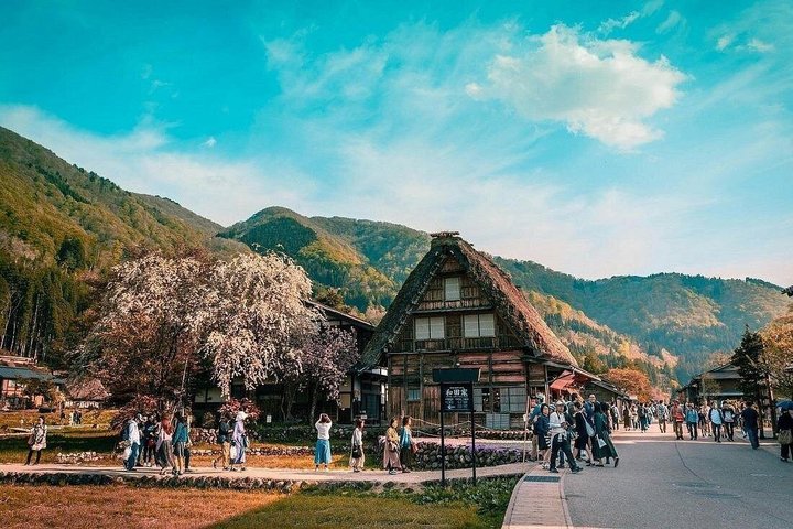 experiences in Hakodate