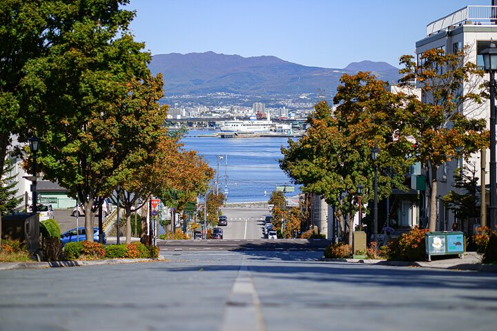 Hakodate Highlights 5 Hours Private Shore Excursion — Luxury & private things to do in Hakodate