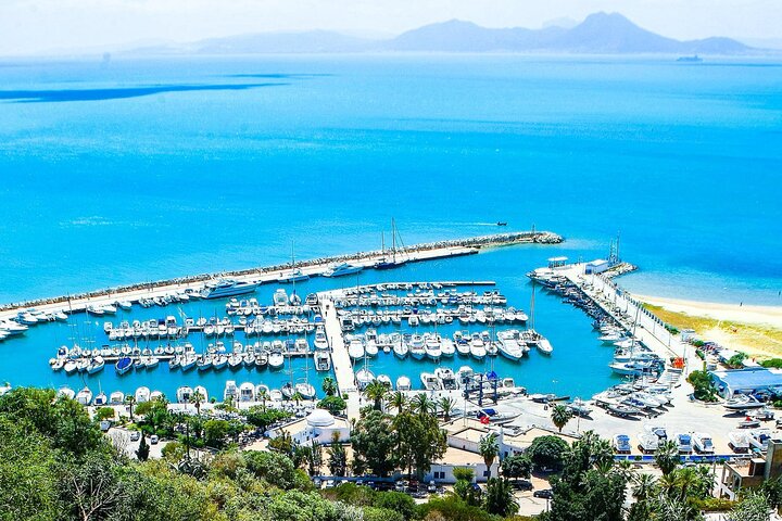 Ancient Carthage and Sidi Bou Said Half Day Tour with Lunch, Djerba