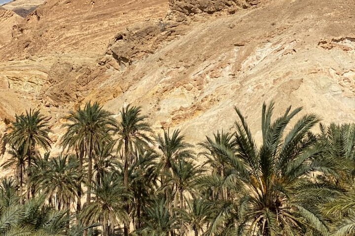 Circuit the south of Tunisia in 2 days Sahara Explorer, Hammamet