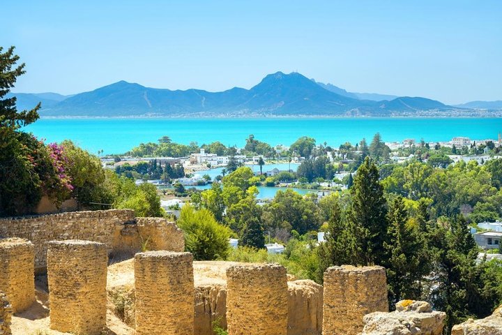 From Hammamet or Tunis: Carthage, Bardo, Sidi Bou said and Medina — Day trips things to do in Hammamet
