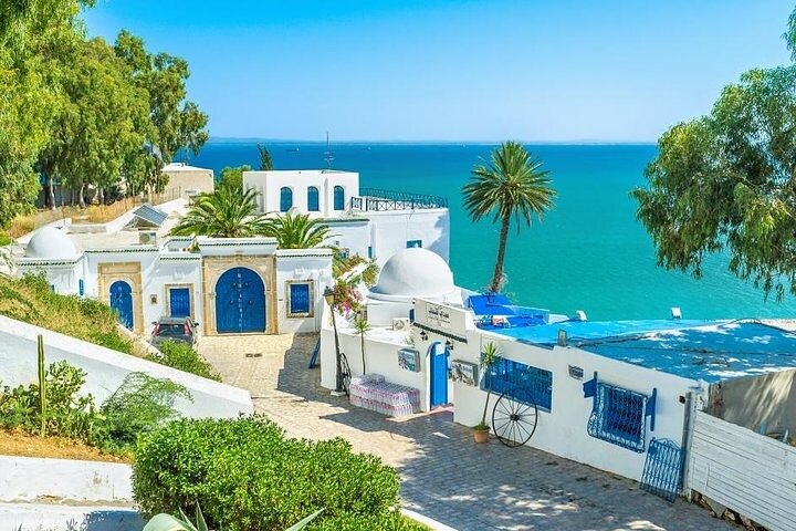 Private tour: Medina,Carthage ,Sidi Bou Said, Bardo Museum+lunch, Hammamet