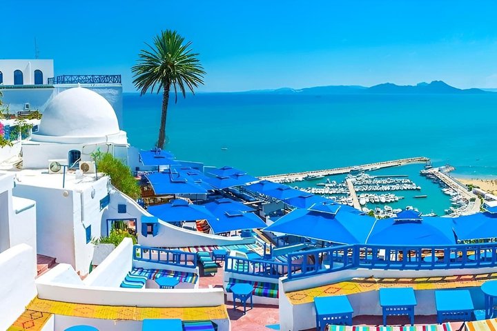 experiences in Hammamet