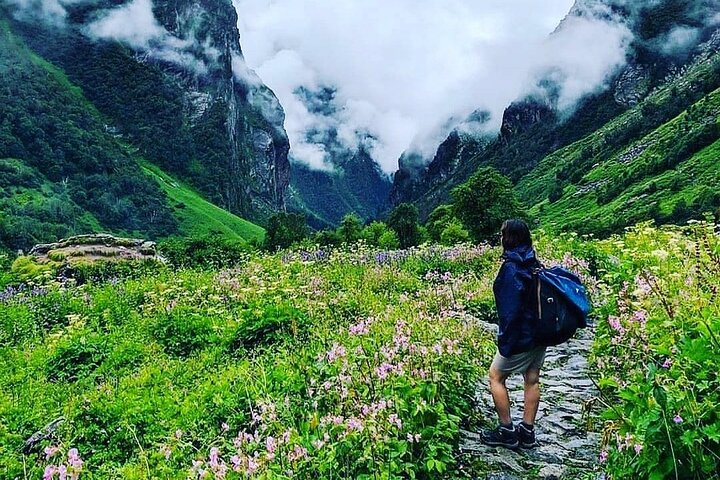 7-day trekking tour to the Valley of Flowers in Uttarakhand, Haridwar
