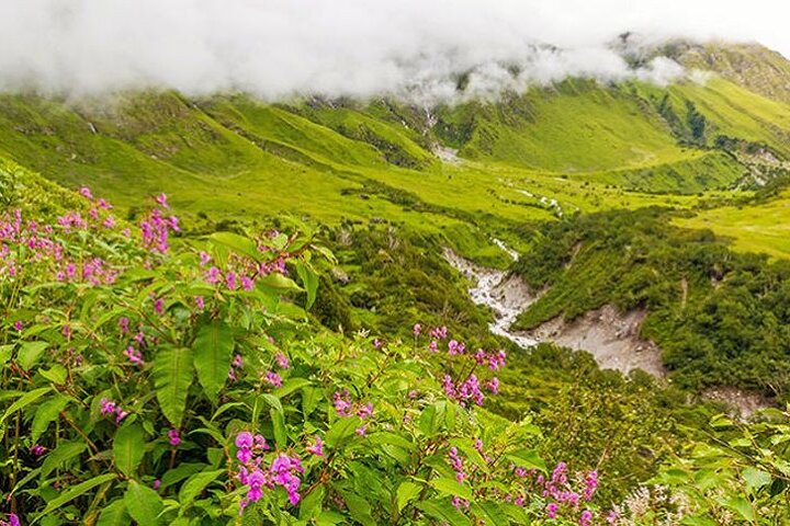 Valley of Flowers and Hemkund Trek from Haridwar, Haridwar