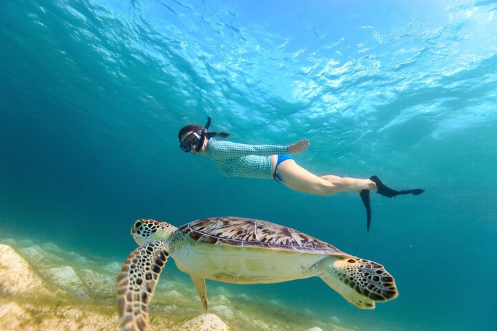 Hikkaduwa Unforgettable Snorkeling Experience — Water & beach things to do in Hikkaduwa