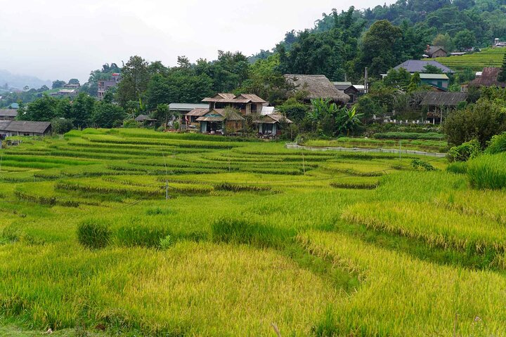 Sapa Day Trip Visit Y Linh Ho Lao Chai Ta Van Cat Cat Village, Hualien