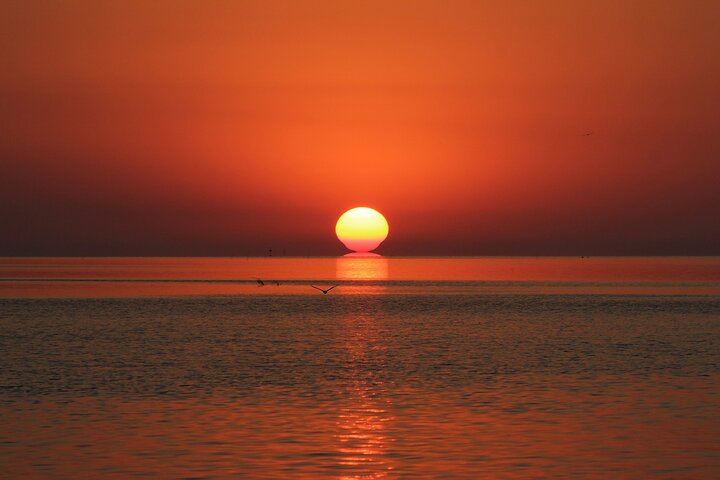 Sunset eco-cruise through the mangroves of Islamorada, Islamorada