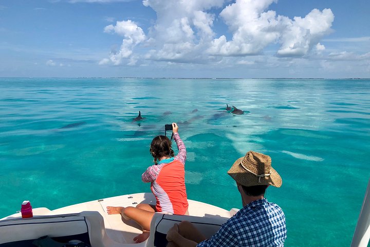 Half-day private boat tour in Islamorada, Islamorada