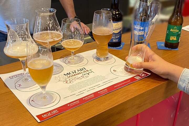 Beer Tasting Experience, Itajai