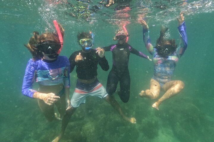 Snorkeling Tour on Macuco Island With Underwater Photos by Zimbros Ecotour — Kids-friendly things to do in Itajai