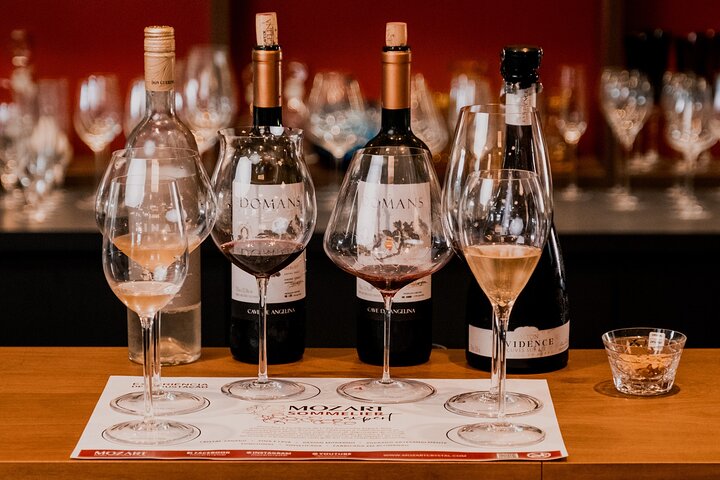 Wine Tasting Experience, Itajai