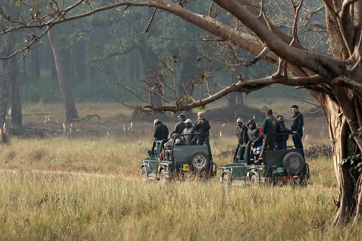 Wildlife safari in Bandhavgarh, Kanha & Pench National Parks, Jabalpur