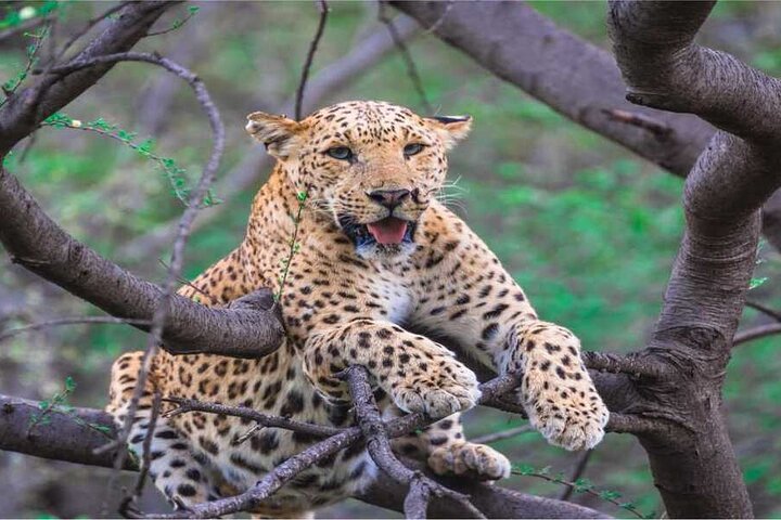 Jaipur — top 7 nature & wildlife