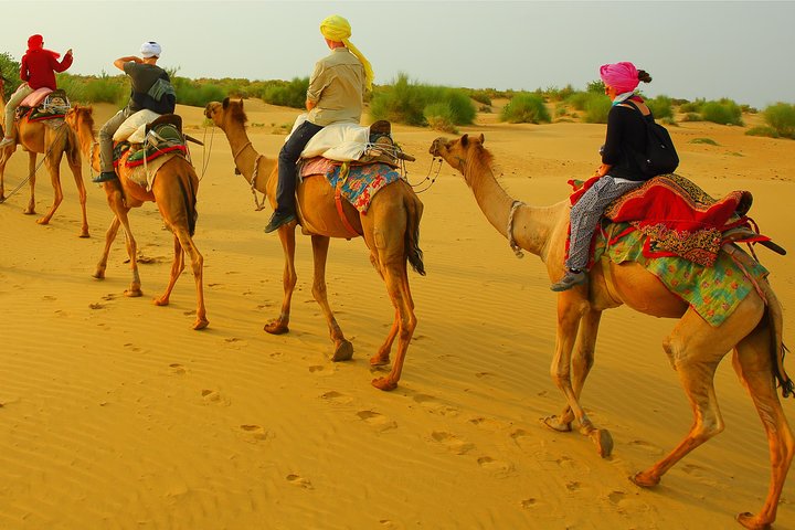 Camel safari and overnight under the stars in Jaisalmer, Jaisalmer