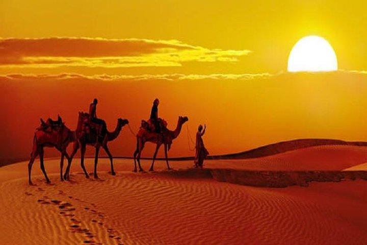 Sunset safari with dinner in the Thar Desert, Jaisalmer