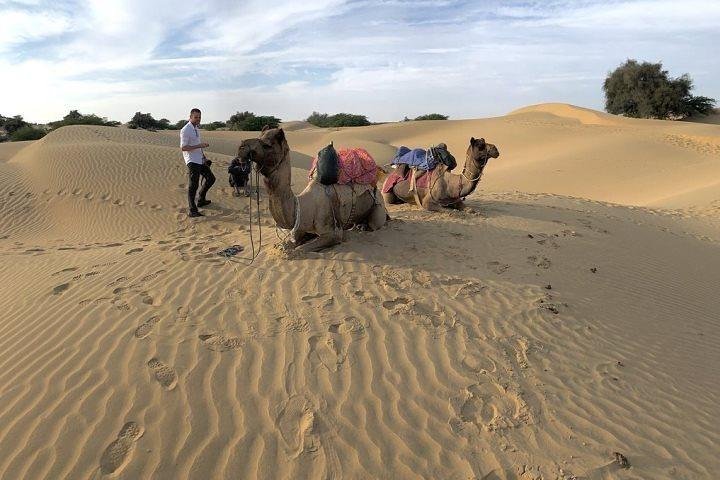 Three-day tour of Jaisalmer from Jodhpur, Jodhpur