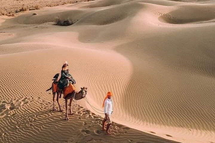 Private desert camel and jeep safari from Jodhpur, Jodhpur