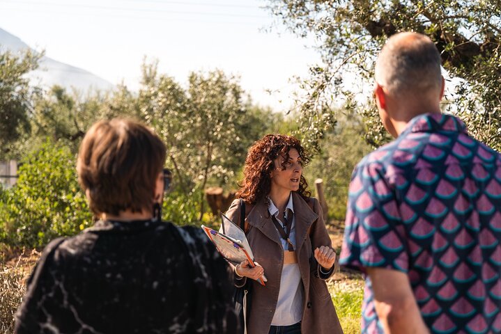 Organic Olive Grove tour & Olive oil tasting & lunch in Kalamata!, Kalamata