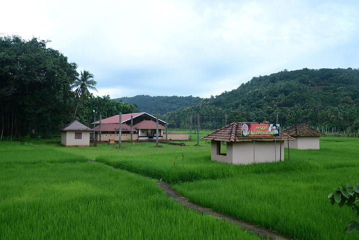 Village life experience in Kannur and Kasaragod, Kerala, Kannur