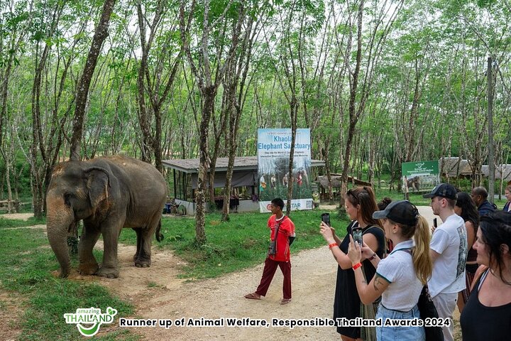 Khao Lak Elephant Sanctuary small-group tour — Nature & wildlife things to do in Khao Lak
