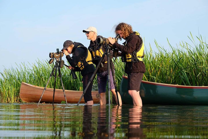 BIRDWATCH - Premium guided canoe tour at Cape Vente, Nemunas Delta Regional Park, Klaipeda