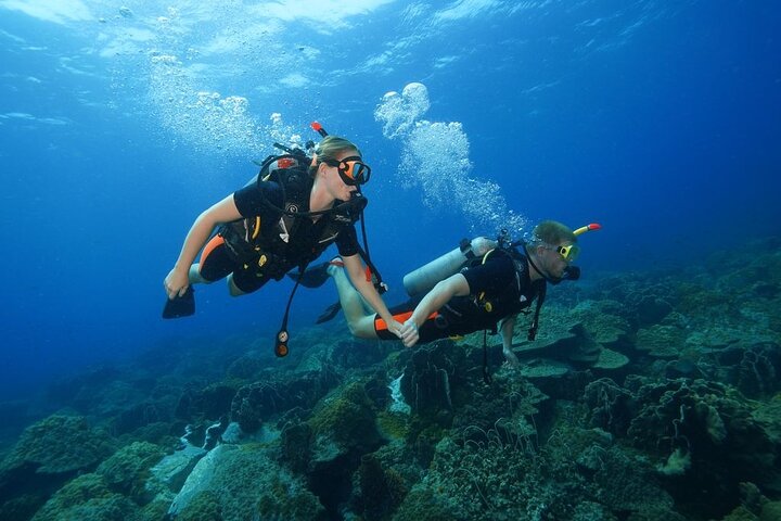 Koh Chang 2 Dive Shipwreck and Coral Reef Scuba Experience, Ko Chang