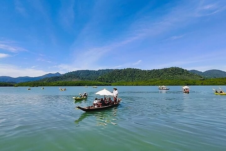 Koh Chang Eco Gondola Ride in Salak Kok Mangroves — Nature & wildlife things to do in Ko Chang